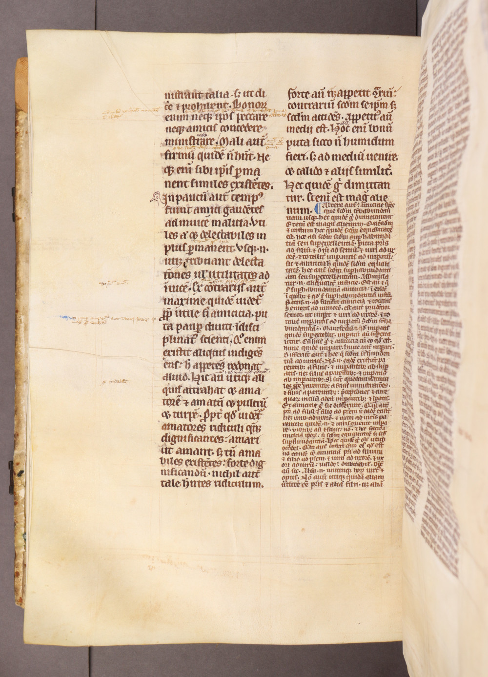 Folio 181 verso